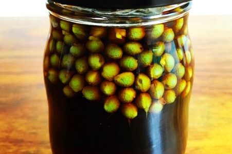 【レシピ】山椒の実は醤油漬けにしておくと保存が効く
