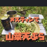 【メスティン飯】『最高かよ‼』採りたて山菜をその場で激ウマ天ぷら