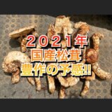 【長野県産】2021年は豊作の予感⁉国産松茸が豊作になる3つのポイント